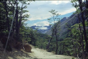 0379 PAINE - cestou k věžím Torres.jpg